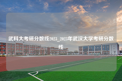 武科大考研分数线2023_2023年武汉大学考研分数线